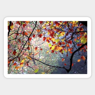 Autumn dreams Sticker